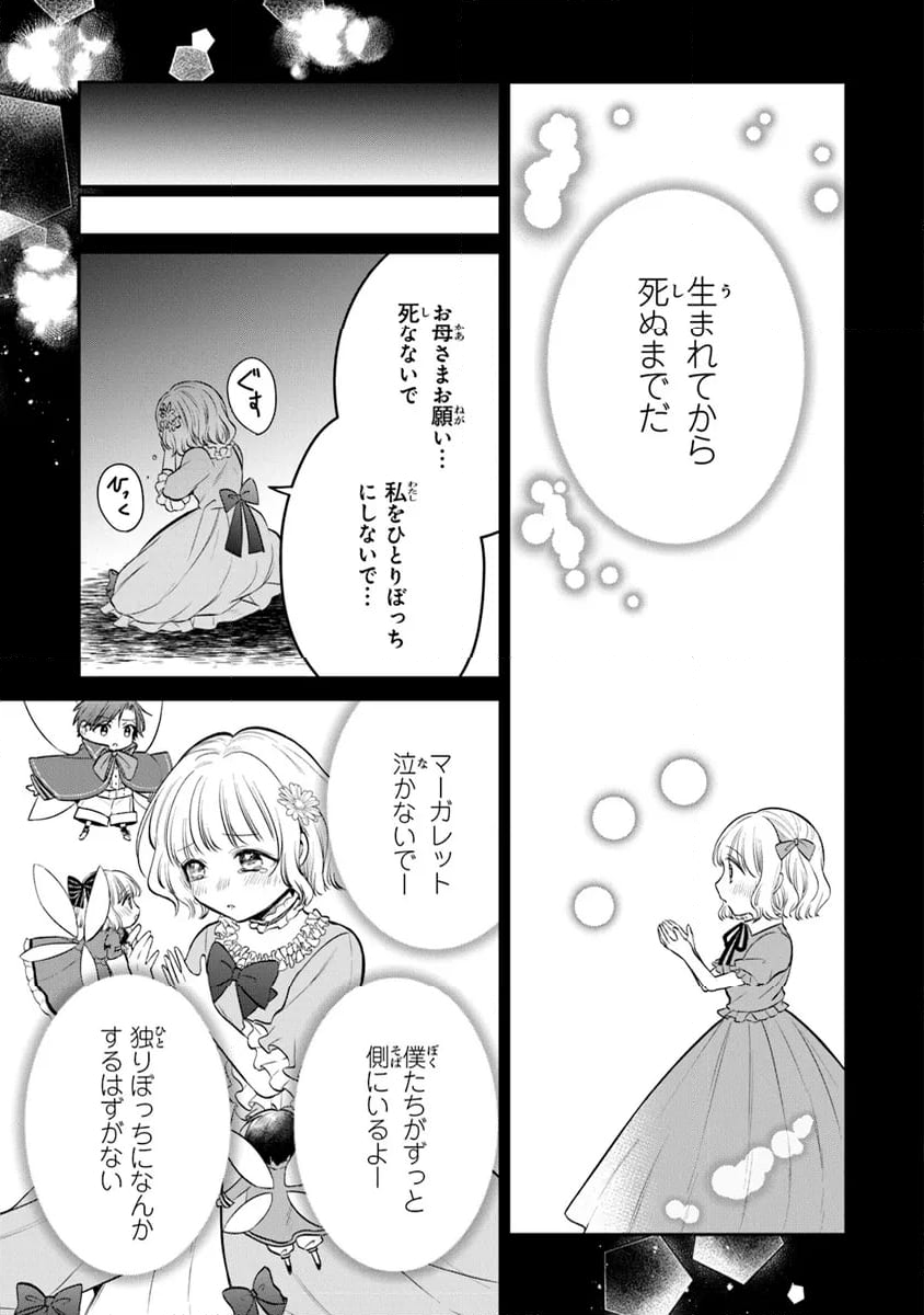 義妹が聖女だからと婚約破棄されましたが、私は妖精の愛し子です - 第24話 - Page 3