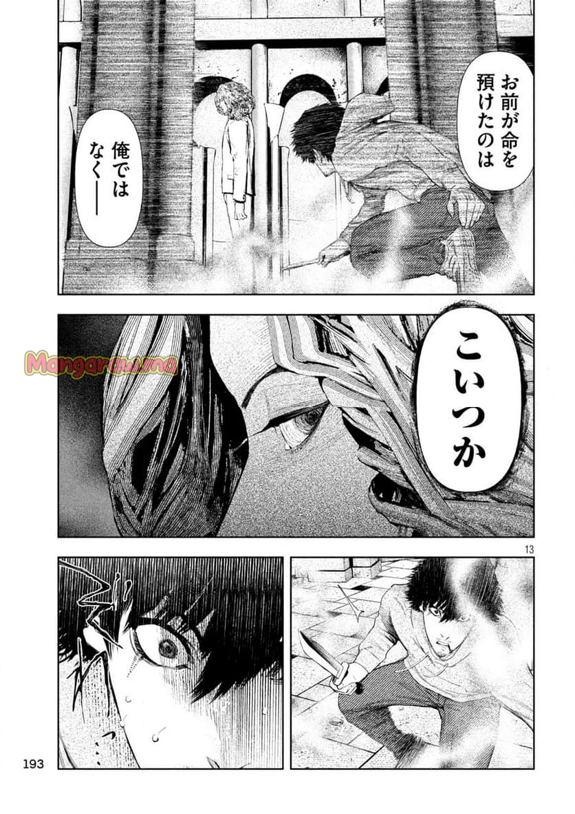 アマチュアビジランテ - 第20話 - Page 13