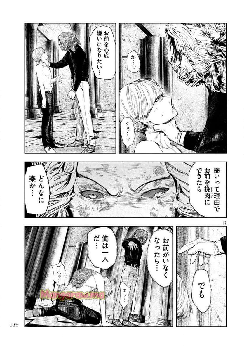 アマチュアビジランテ - 第22話 - Page 17