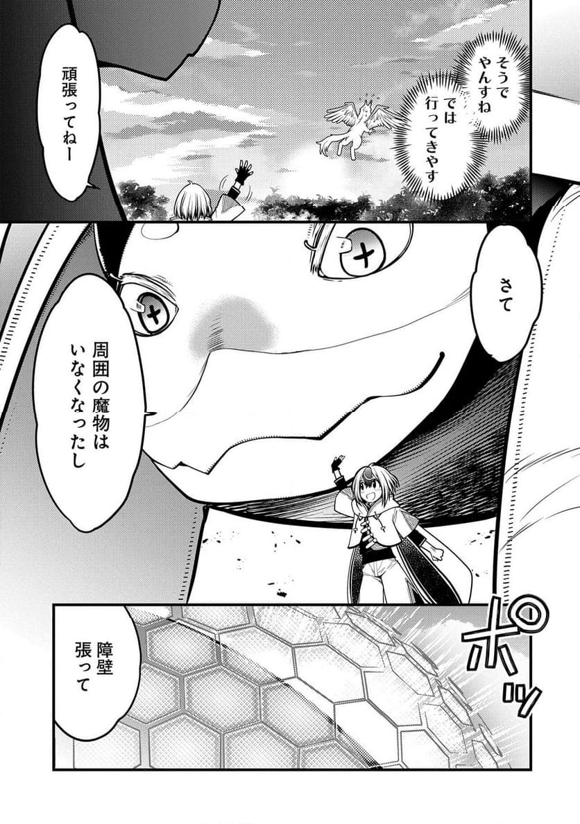 その亀、地上最強　～僕は最愛の亀と平和に暮らしたい～ - 第7話 - Page 5