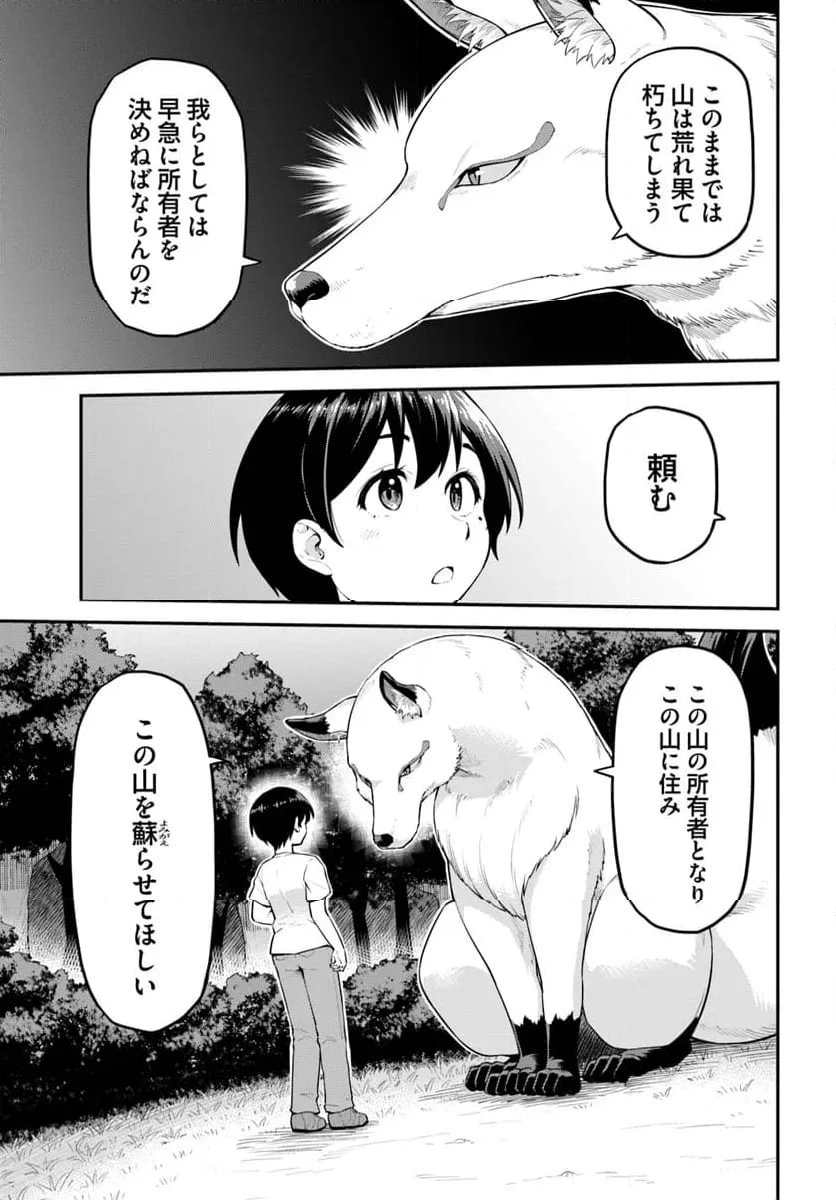 山、買いました 〜異世界暮らしも悪くない〜 - 第1話 - Page 51