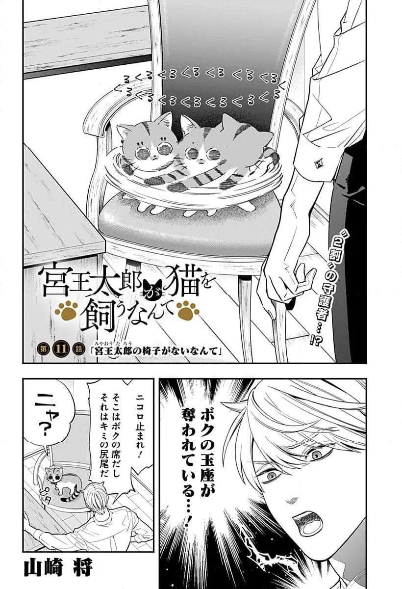 宮王太郎が猫を飼うなんて - 第11話 - Page 2