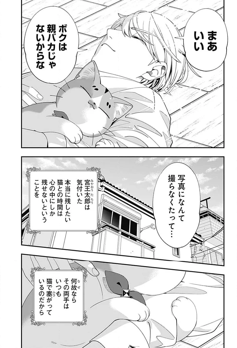 宮王太郎が猫を飼うなんて - 第19話 - Page 11