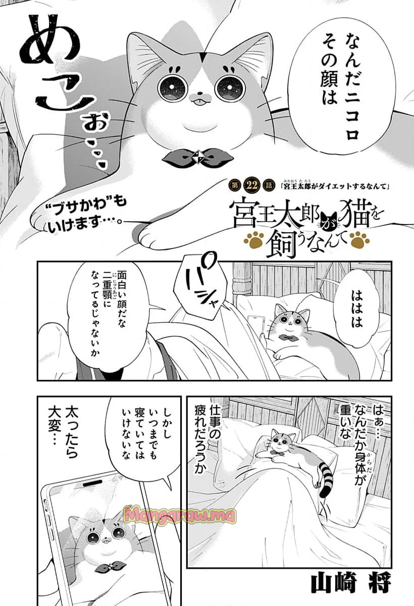 宮王太郎が猫を飼うなんて - 第22話 - Page 1