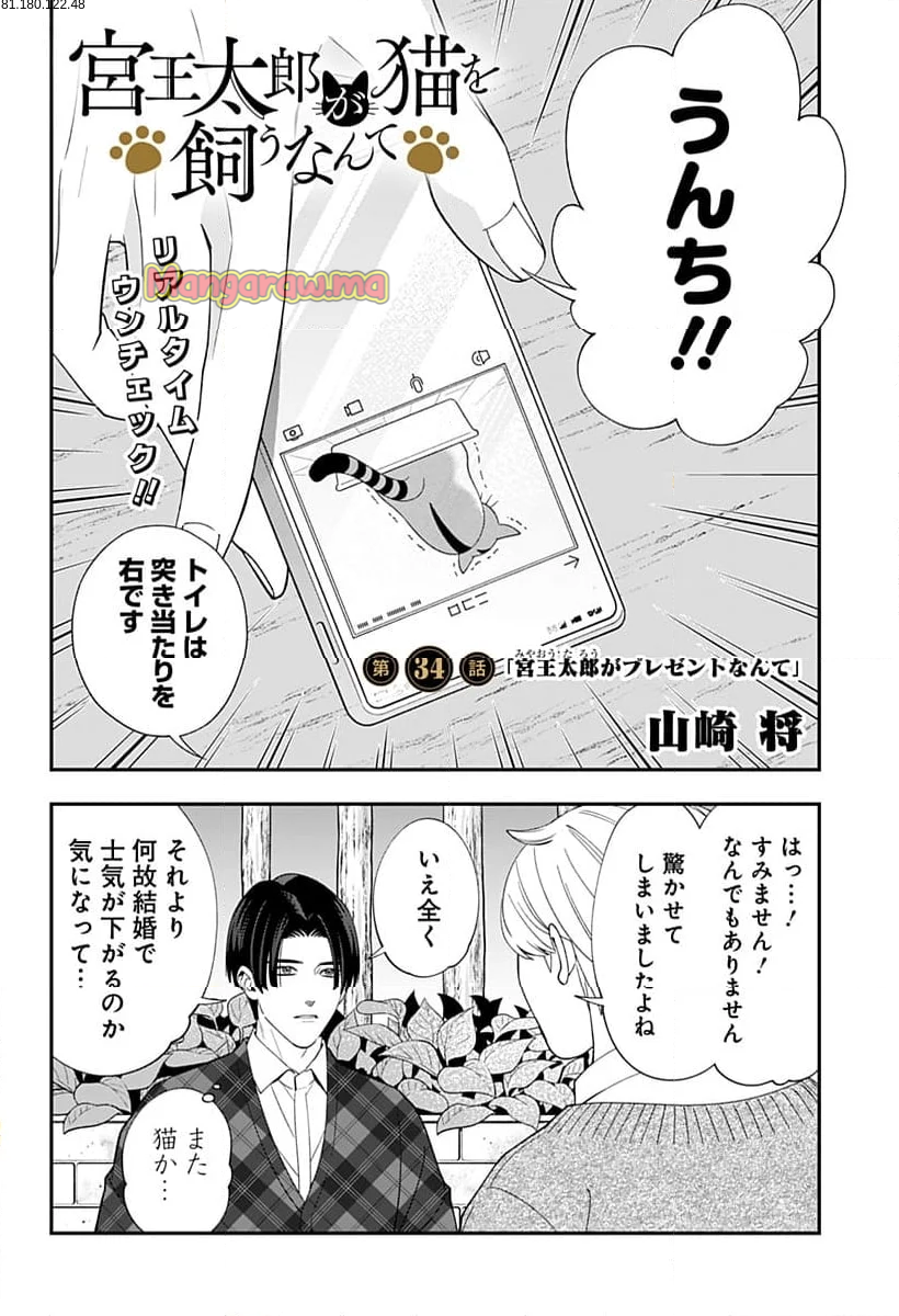 宮王太郎が猫を飼うなんて - 第34話 - Page 2