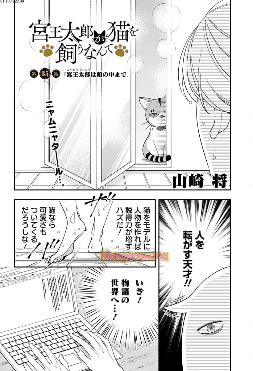 宮王太郎が猫を飼うなんて - 第35話 - Page 2