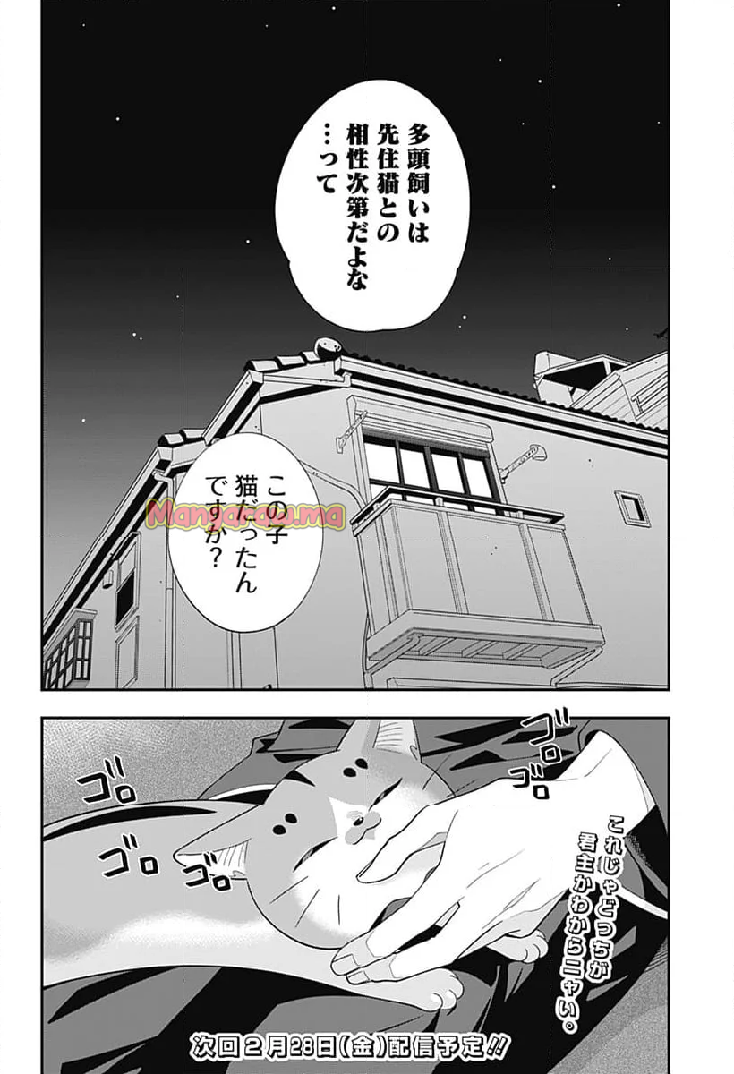 宮王太郎が猫を飼うなんて - 第35話 - Page 18