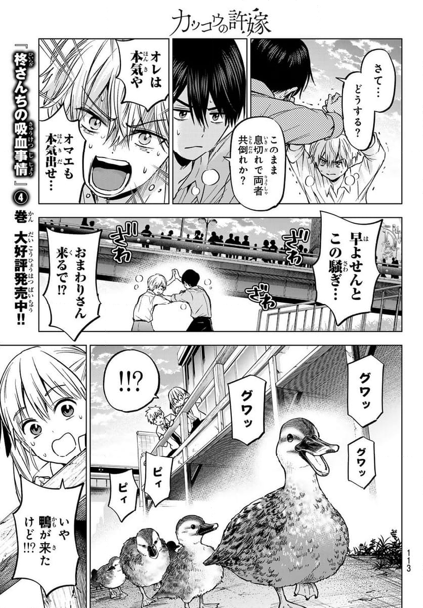 カッコウの許嫁 - 第218話 - Page 19