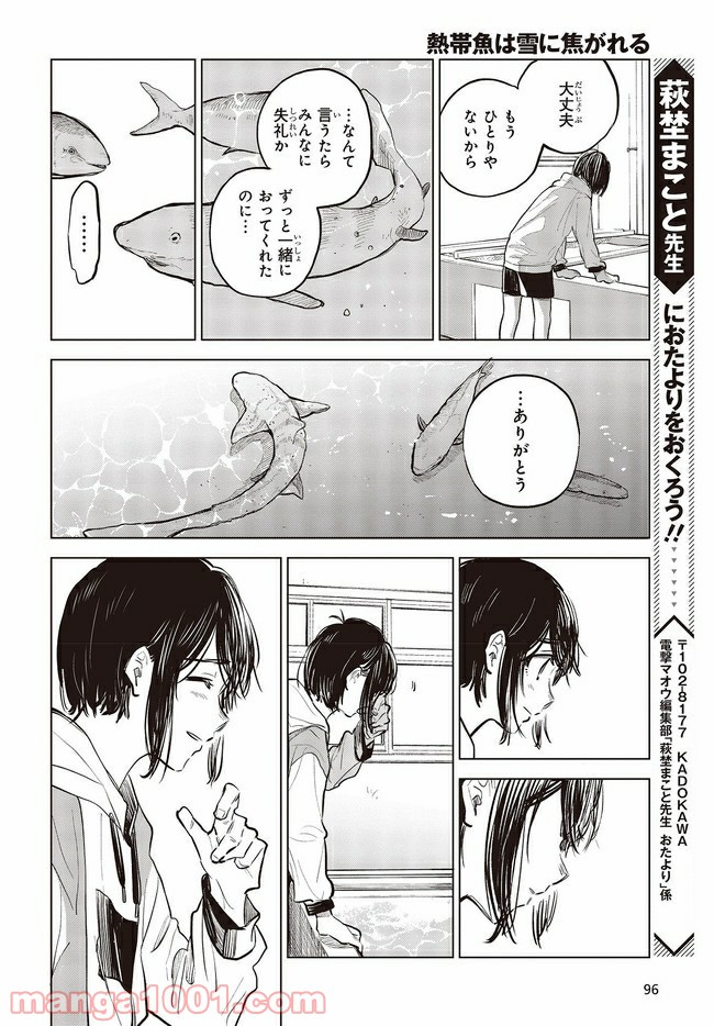 熱帯魚は雪に焦がれる - 第33.1話 - Page 8