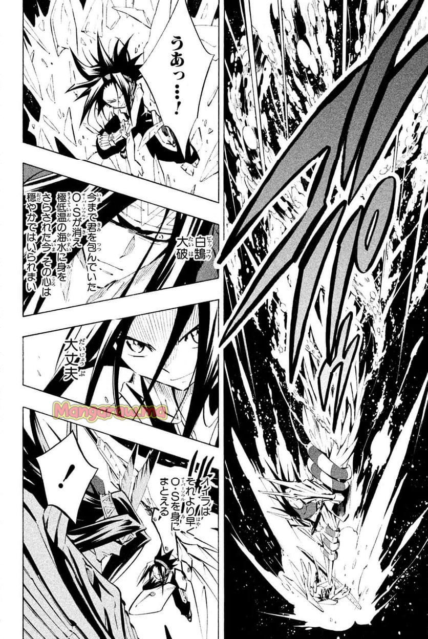 SHAMAN KING ～シャーマンキング～ KC完結版 - 第294話 - Page 14