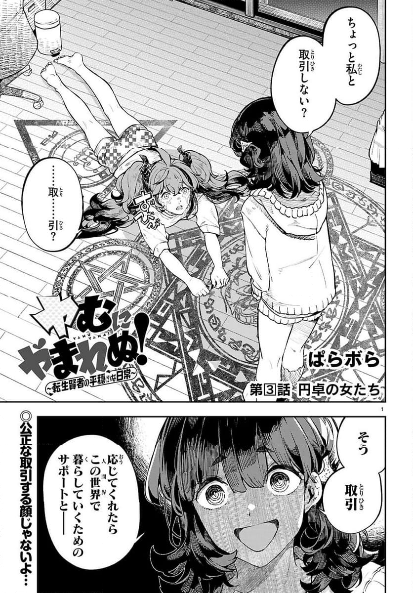 ヤむにやまれぬ！～転生賢者の平穏（？）な日常～ - 第3話 - Page 1