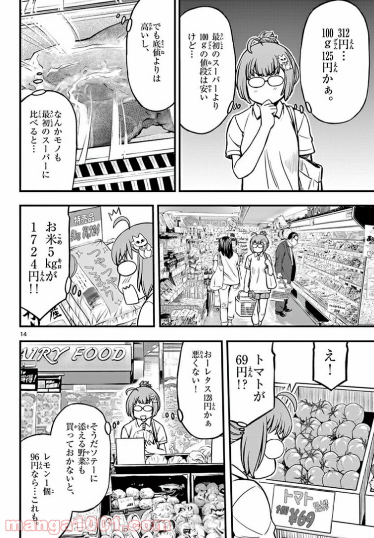 アイドルの家計簿 - 第5話 - Page 14