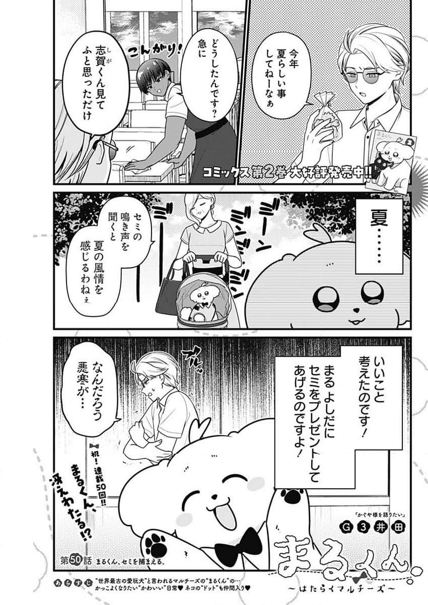 まるくん～はたらくマルチーズ～ - 第50話 - Page 1