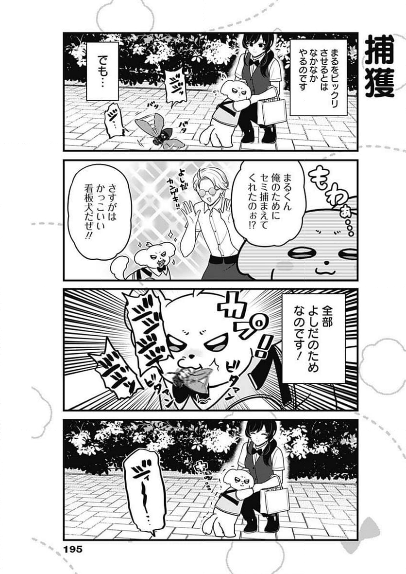 まるくん～はたらくマルチーズ～ - 第50話 - Page 5