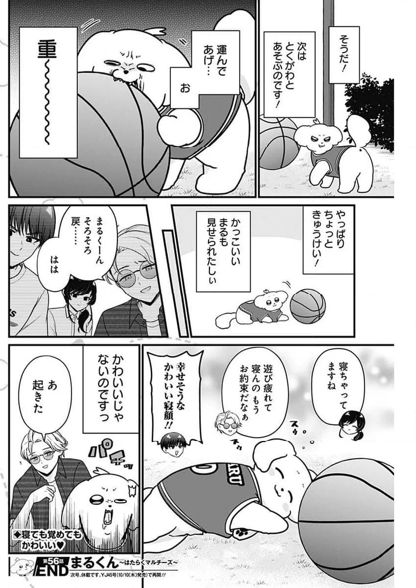 まるくん～はたらくマルチーズ～ - 第56話 - Page 8