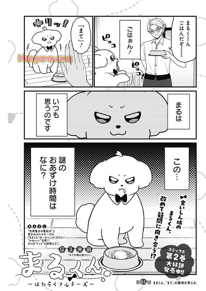 まるくん～はたらくマルチーズ～ - 第61話 - Page 1