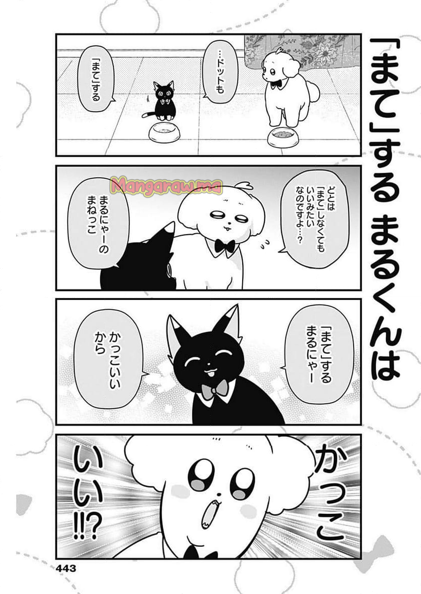 まるくん～はたらくマルチーズ～ - 第61話 - Page 5