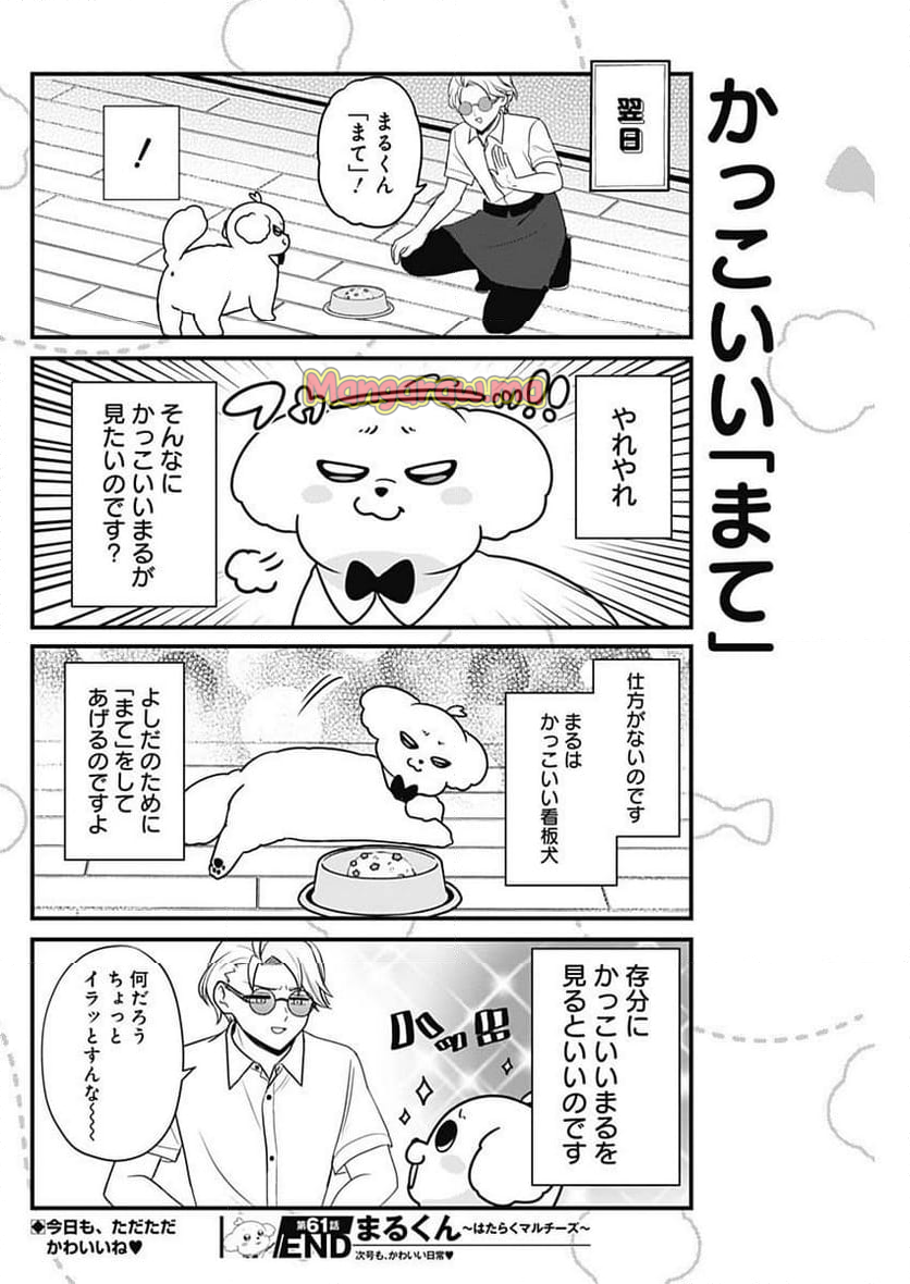 まるくん～はたらくマルチーズ～ - 第61話 - Page 8