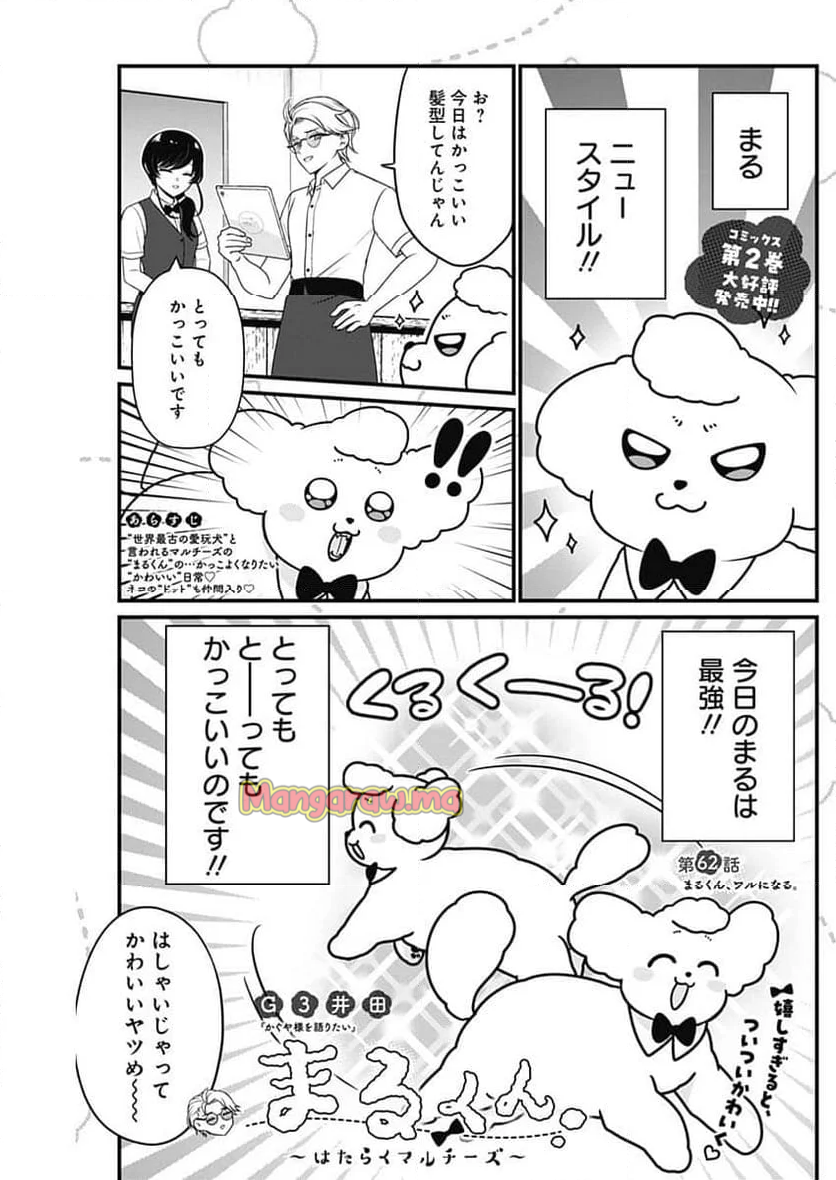 まるくん～はたらくマルチーズ～ - 第62話 - Page 1