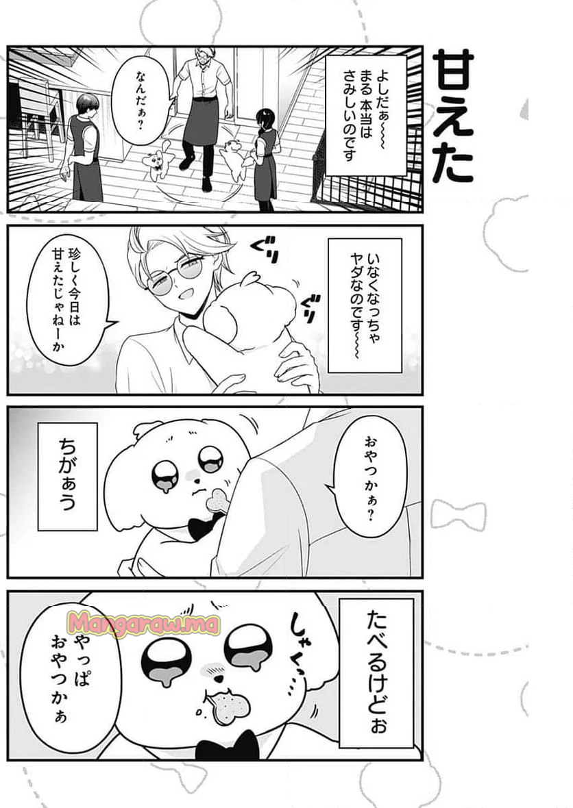 まるくん～はたらくマルチーズ～ - 第67話 - Page 4