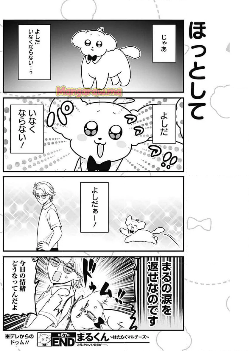 まるくん～はたらくマルチーズ～ - 第67話 - Page 8