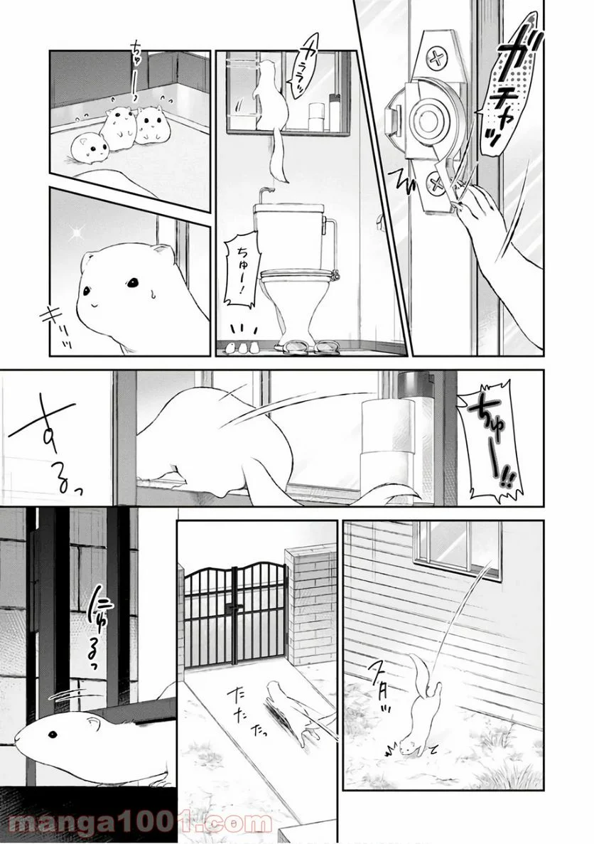 うちのメイドがウザすぎる！ - 第18話 - Page 3