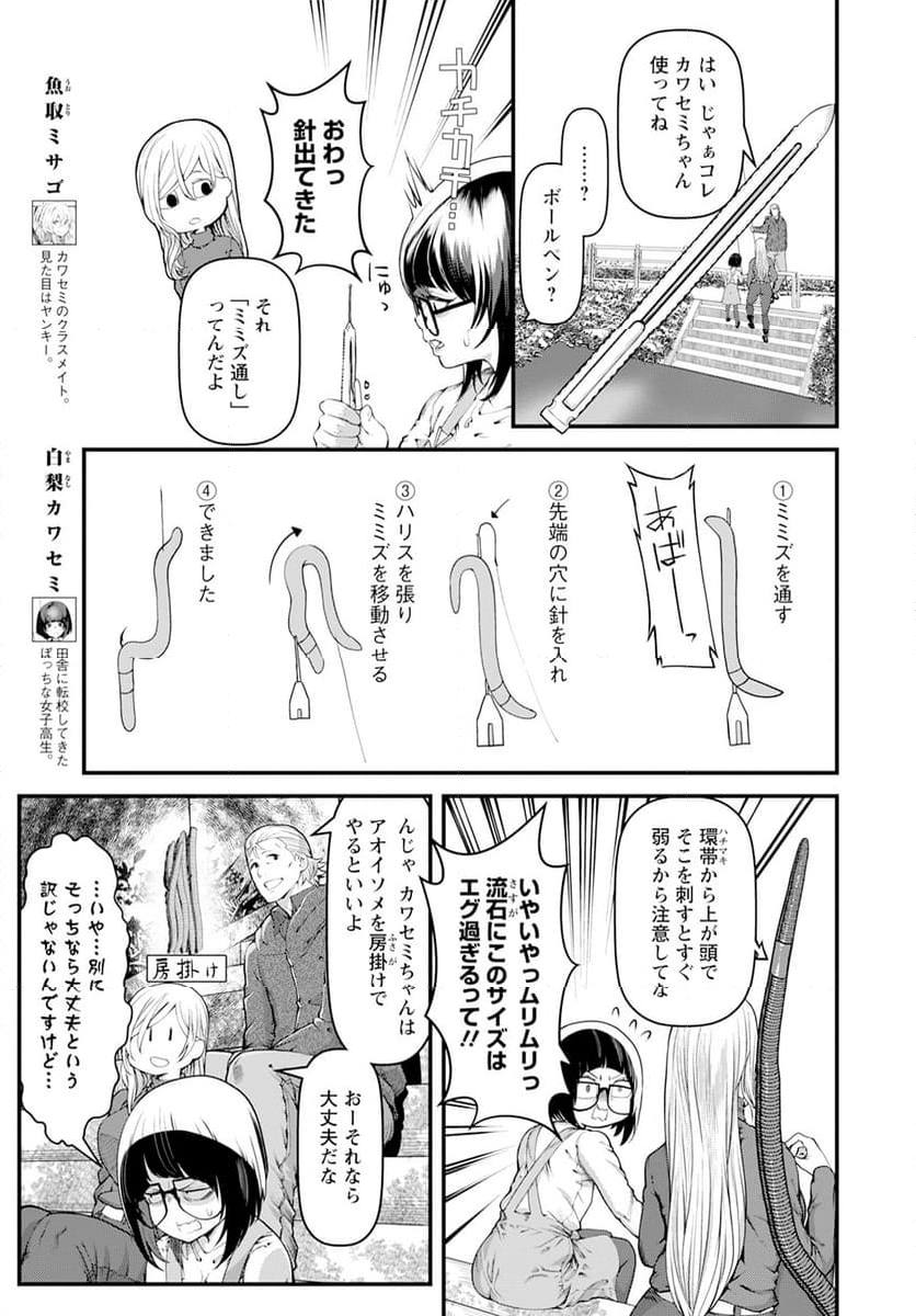 カワセミさんの釣りごはん - 第47話 - Page 5