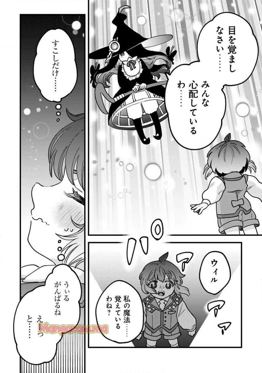 ウィル様は今日も魔法で遊んでいます。 - 第28話 - Page 20