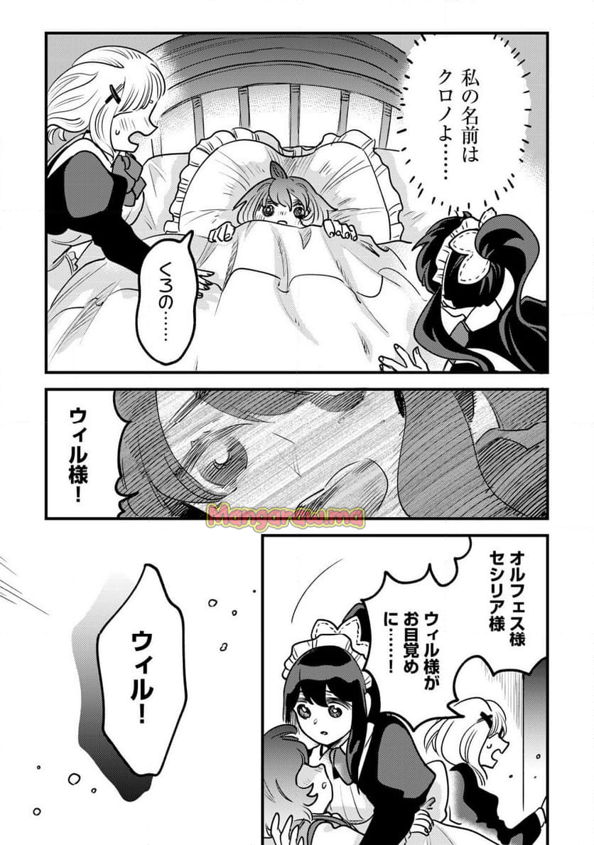 ウィル様は今日も魔法で遊んでいます。 - 第28話 - Page 21