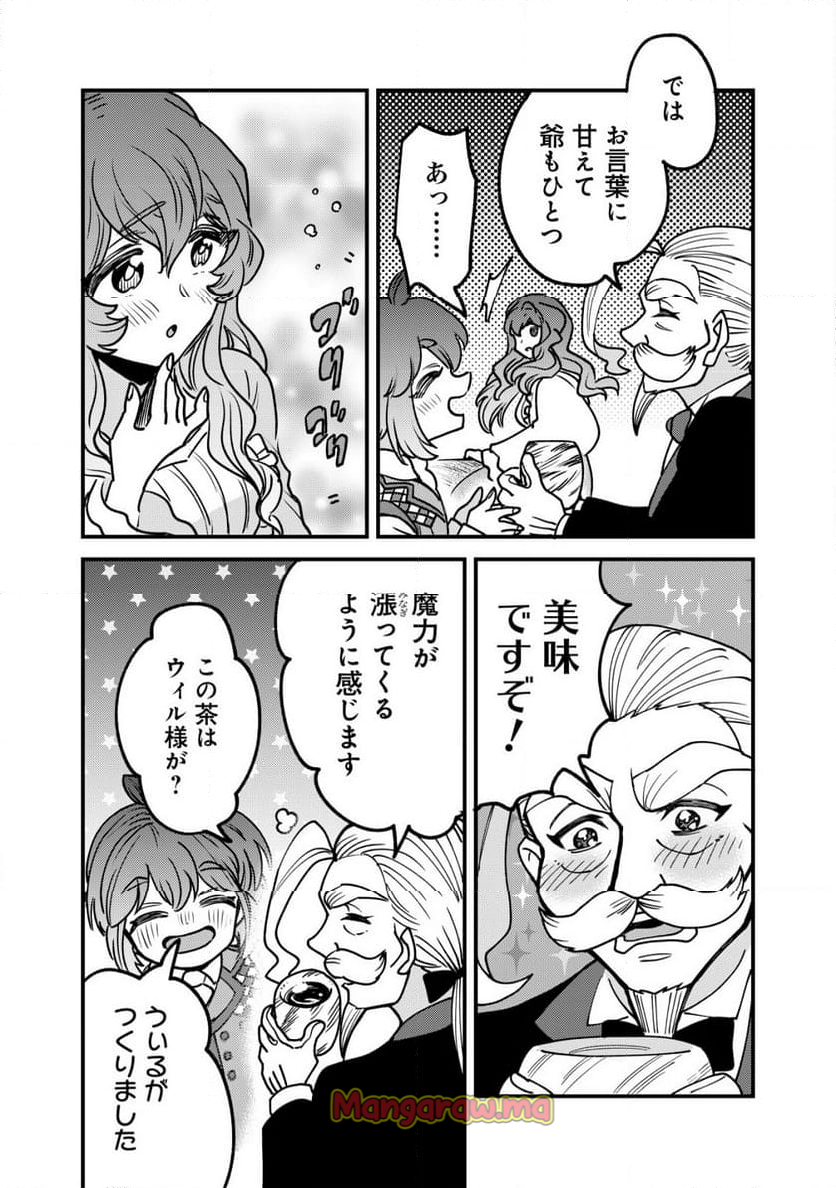 ウィル様は今日も魔法で遊んでいます。 - 第30話 - Page 17