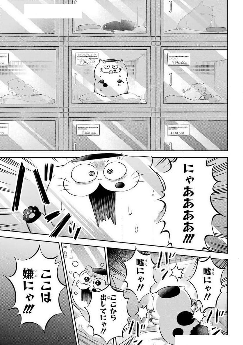 おじさまと猫 - 第116話 - Page 11