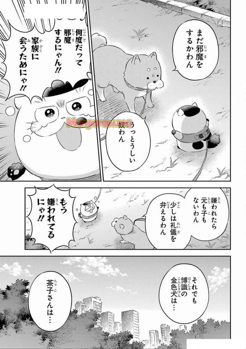 あだしの奇象官 - 第5話 - Page 11