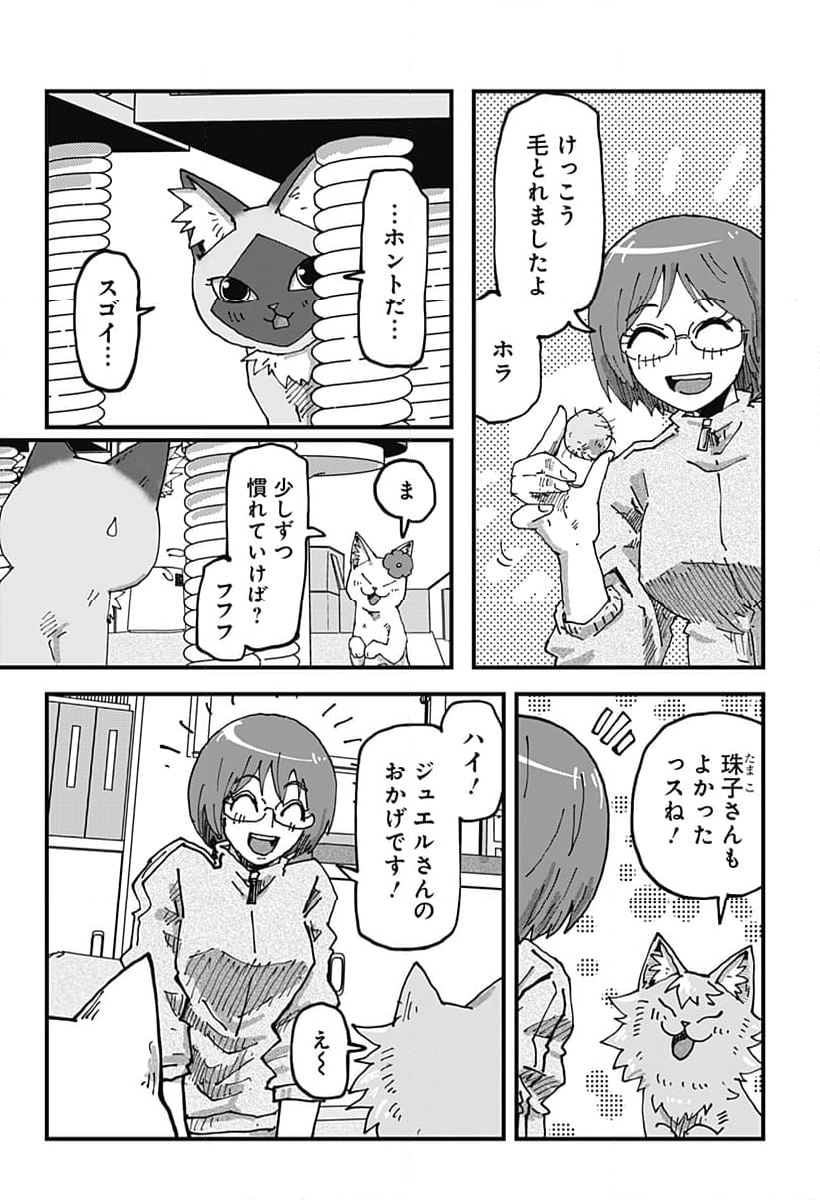 ラーメン赤猫 - 第118話 - Page 13