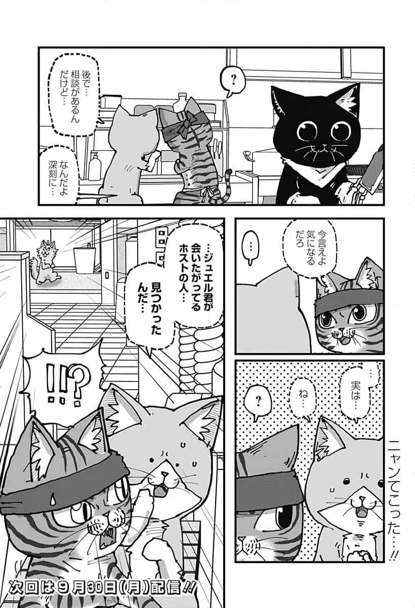 ラーメン赤猫 - 第118話 - Page 15