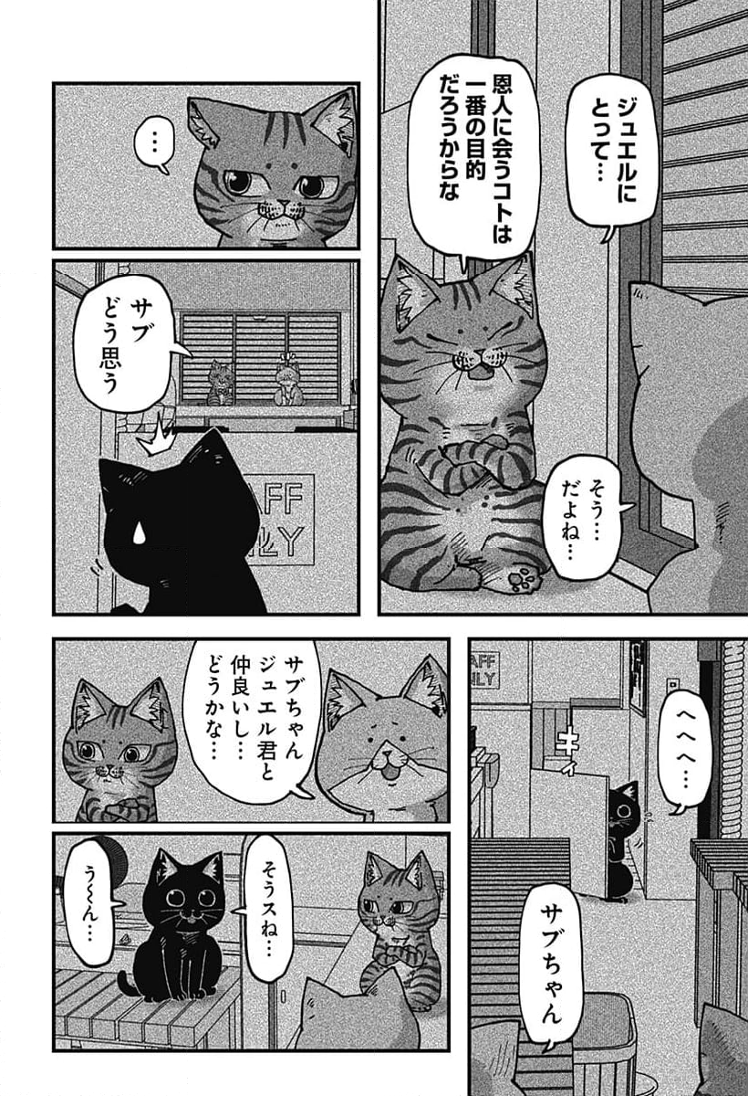 ラーメン赤猫 - 第119話 - Page 6