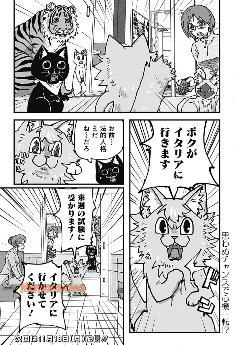 ラーメン赤猫 - 第123話 - Page 15