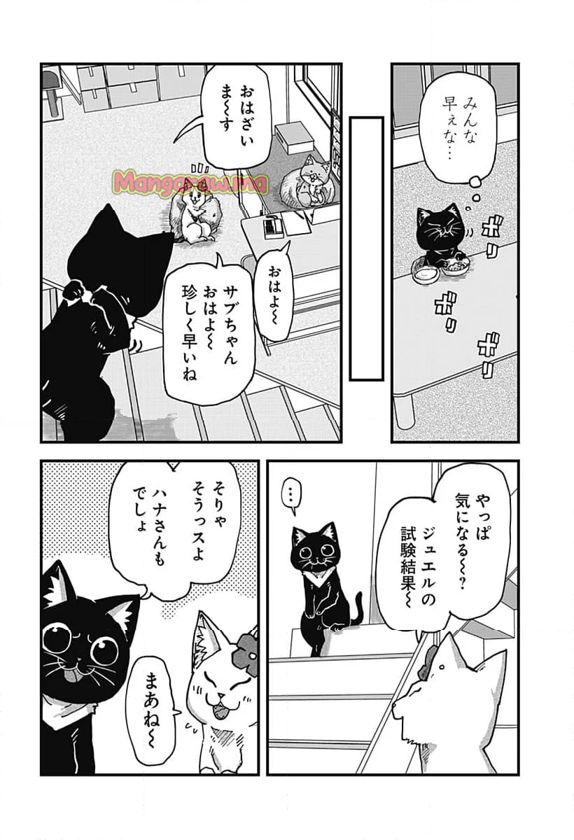 ラーメン赤猫 - 第127話 - Page 4