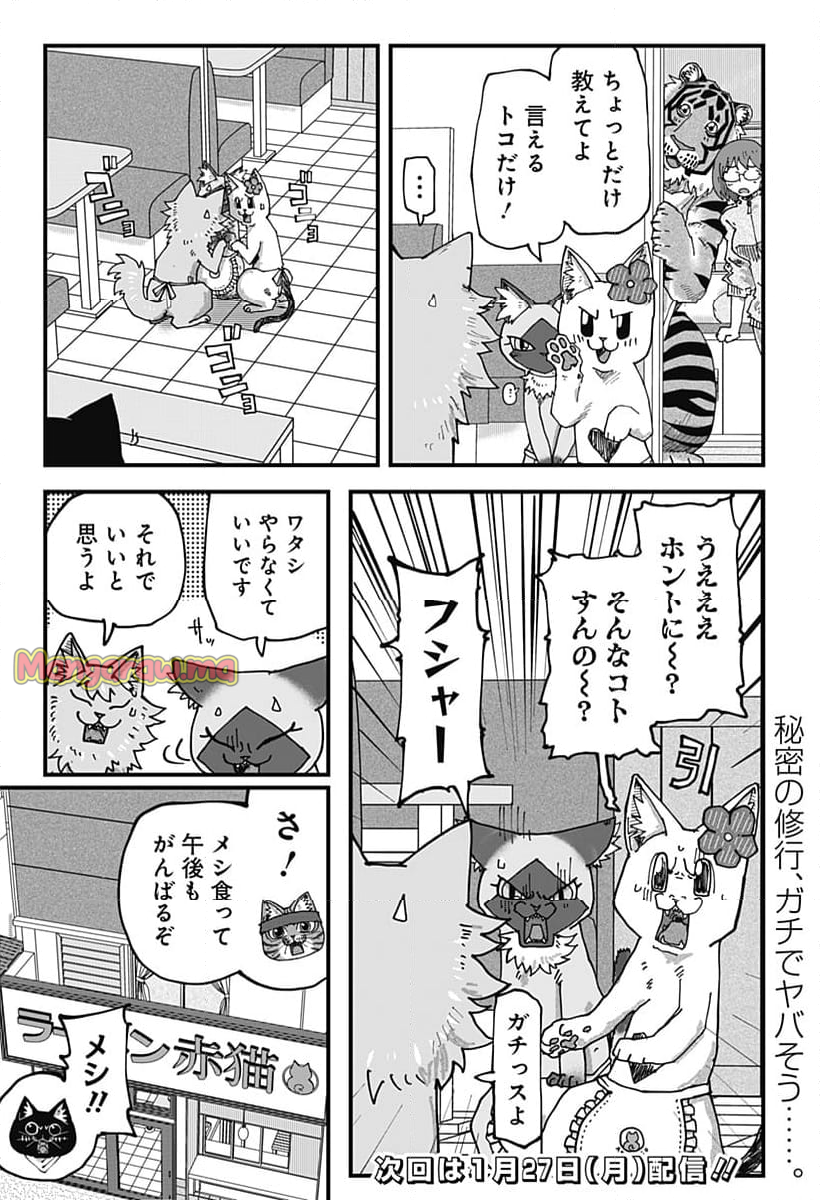 ラーメン赤猫 - 第132話 - Page 7