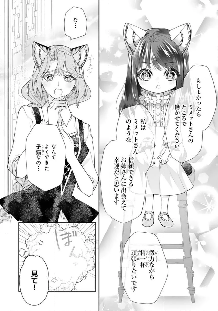 ねこねこ幼女の愛情ごはん～異世界でもふもふ達に料理を作ります！～ - 第3話 - Page 16