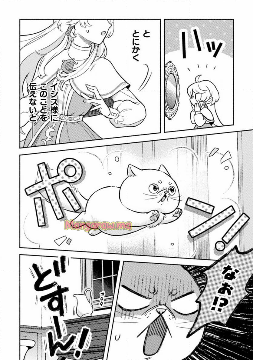 根暗騎士による溺愛満喫中のブサ猫、実は聖女です! - 第5話 - Page 3