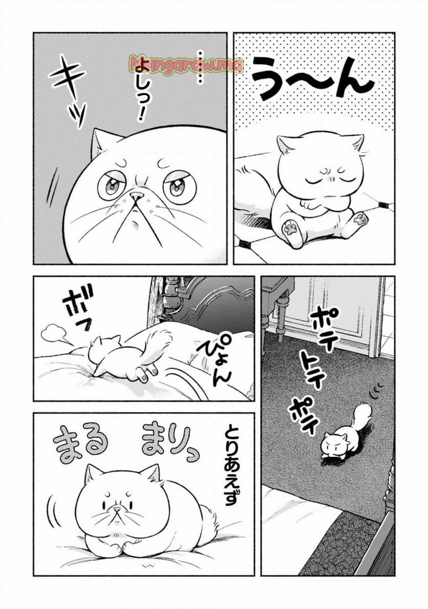 根暗騎士による溺愛満喫中のブサ猫、実は聖女です! - 第5話 - Page 5