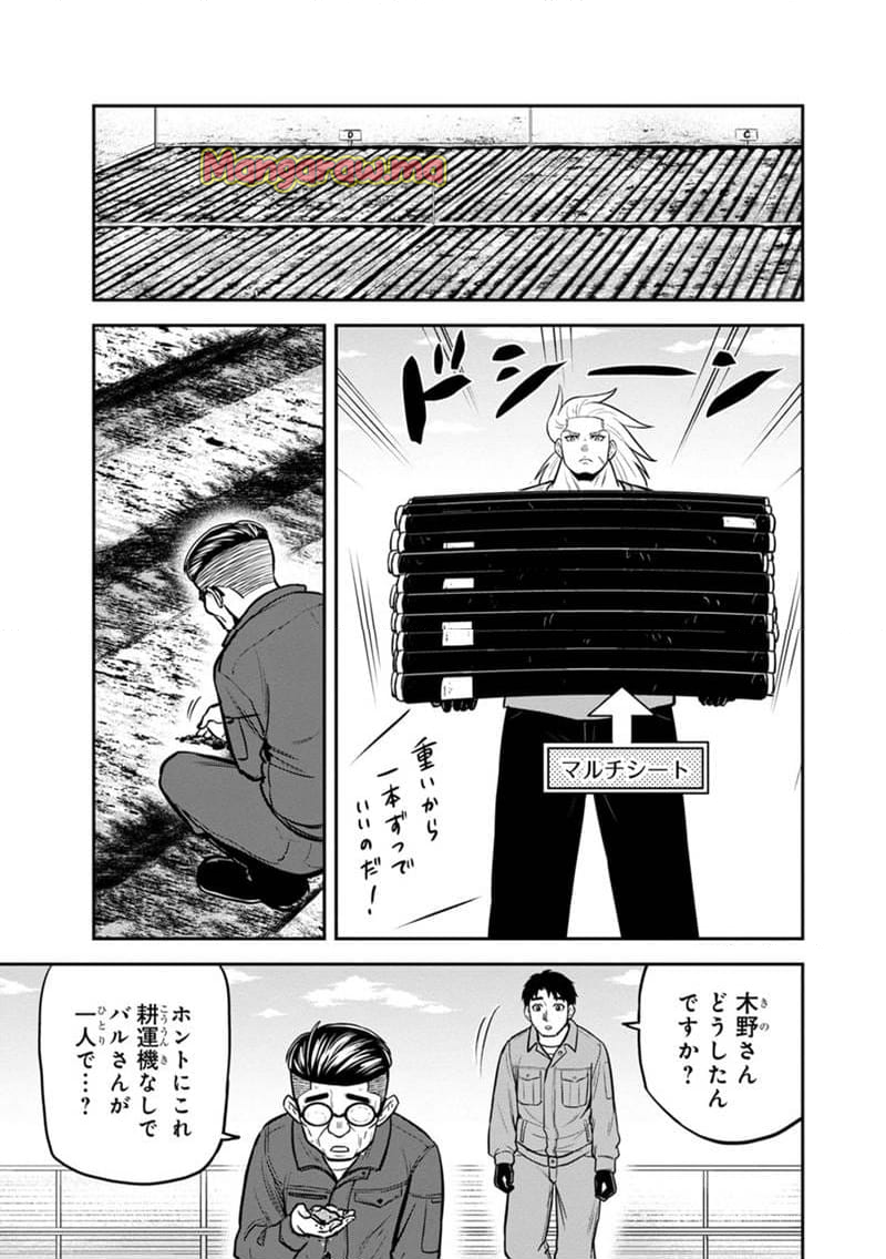 俺んちに来た女騎士と田舎暮らしすることになった件 - 第141話 - Page 17