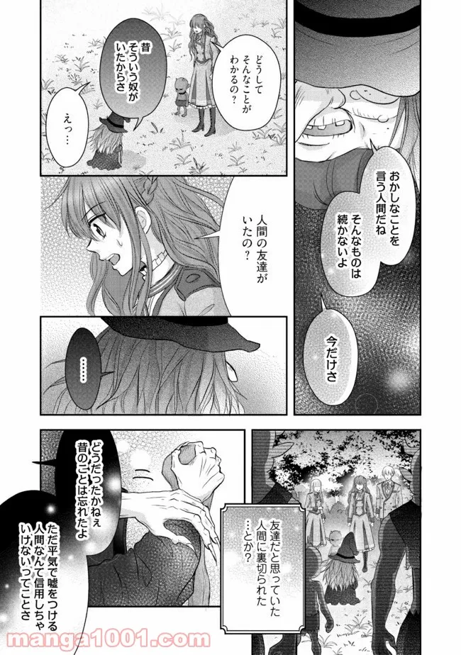 悪役令嬢は二度目の人生を従者に捧げたい - 第11.3話 - Page 6