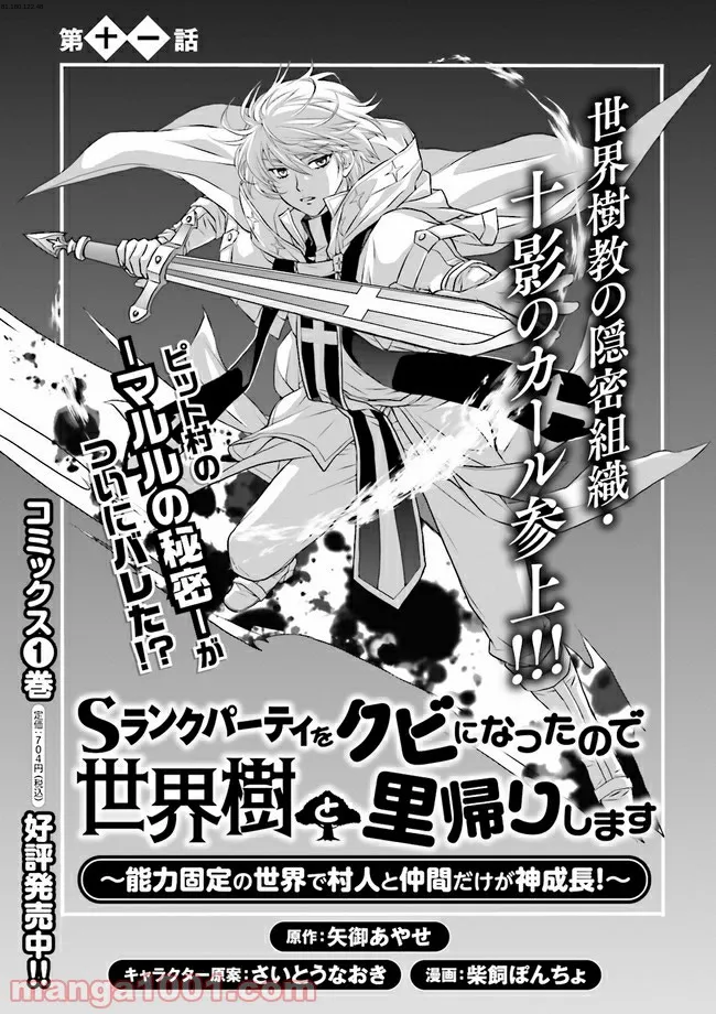 Sランクパーティをクビになったので世界樹と里帰りします ～能力固定の世界で村人と仲間だけが神成長！～ - 第11.1話 - Page 1