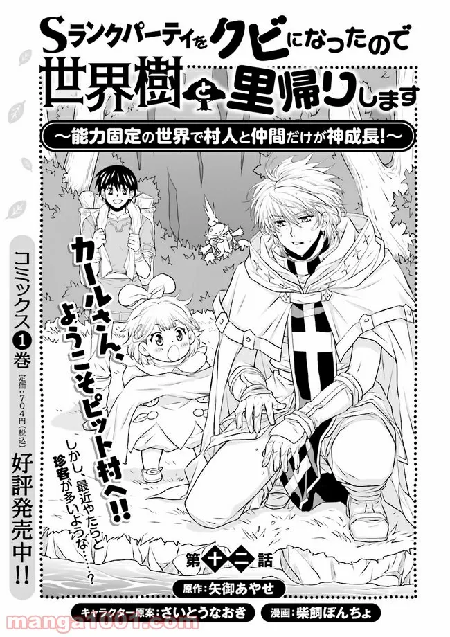 Sランクパーティをクビになったので世界樹と里帰りします ～能力固定の世界で村人と仲間だけが神成長！～ - 第12.1話 - Page 1