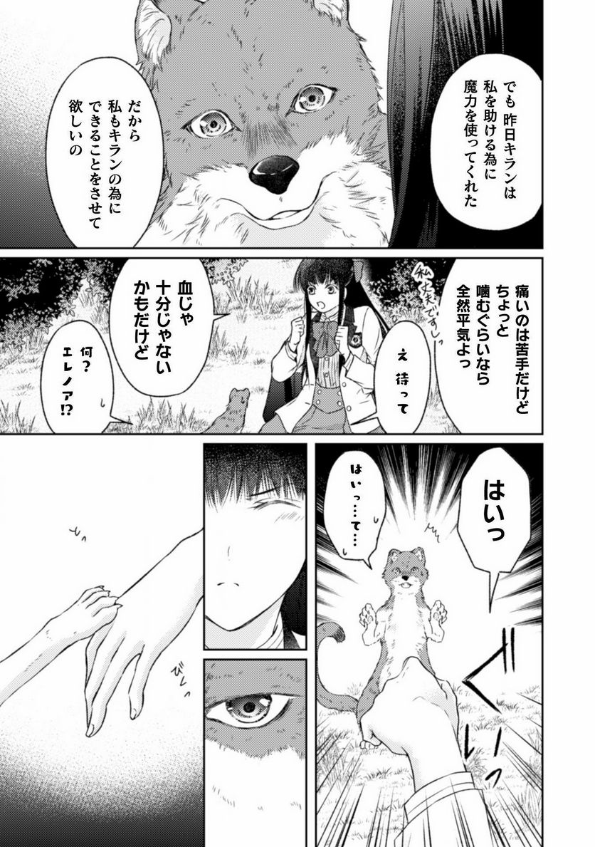 エレノア王女は自由な青春を送りたい～異世界トリップでJKライフ～ - 第13話 - Page 17